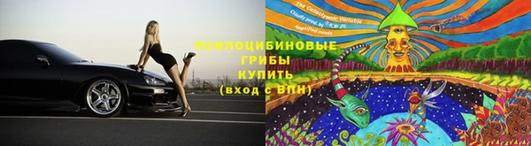 ГАЛЛЮЦИНОГЕННЫЕ ГРИБЫ Алексеевка