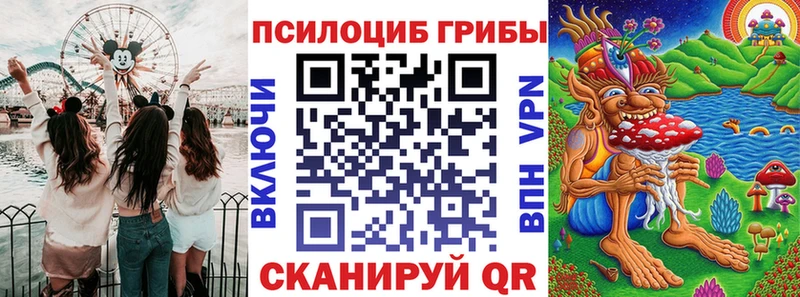 где купить наркоту  МЕГА зеркало  Псилоцибиновые грибы MAGIC MUSHROOMS  Курганинск 